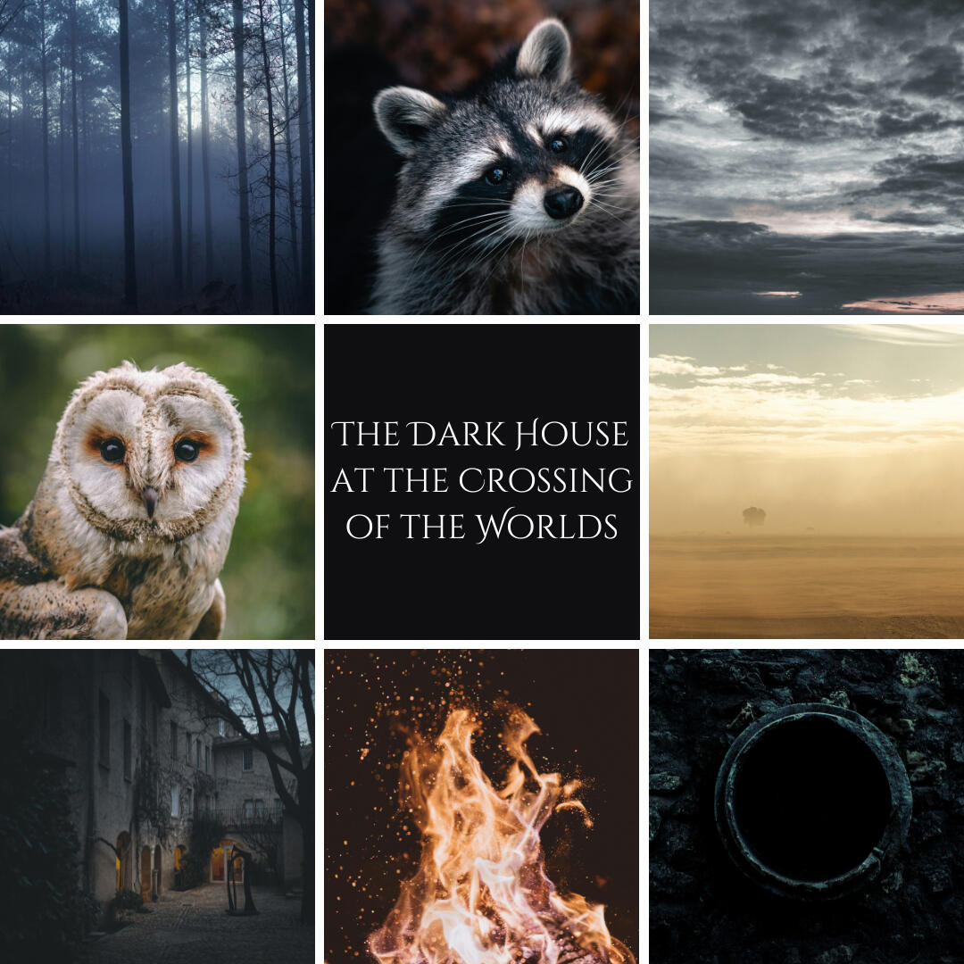 The Dark House at the Crossing of the Worlds by J.H. Fleming